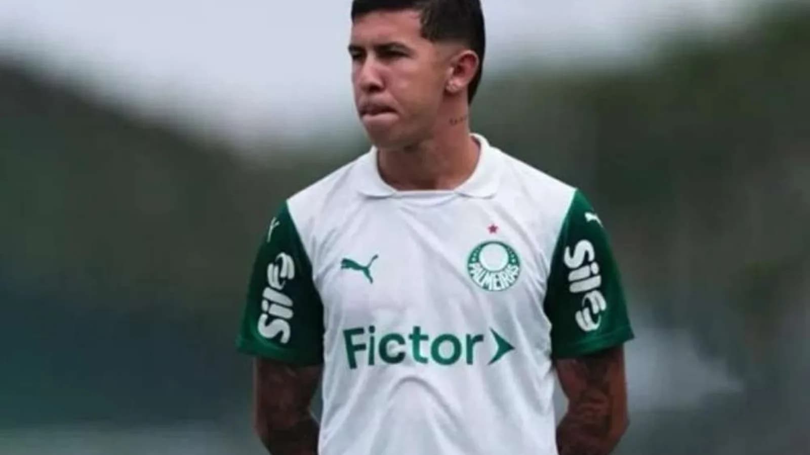Palmeiras recebe proposta árabe por jogador acusado de violência após afastamento