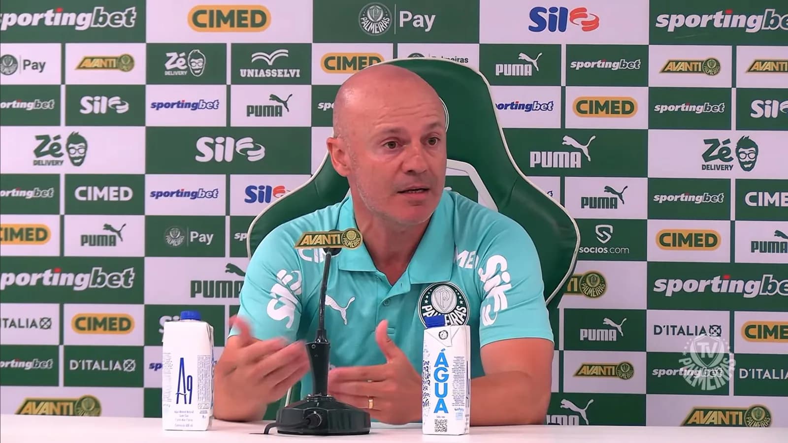 Auxiliar do Palmeiras explica entradas de Allan, Emiliano e Pacheco