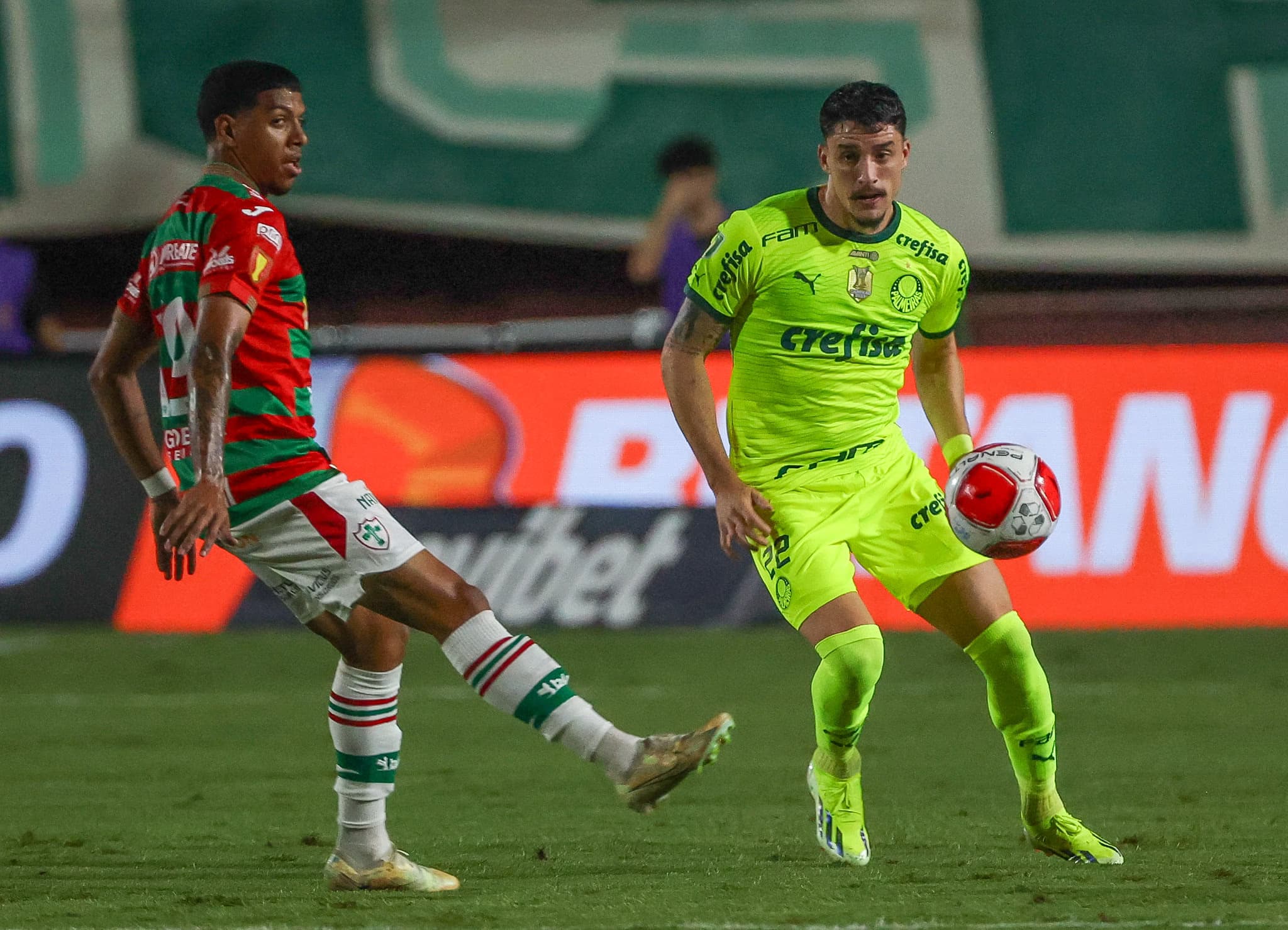 Palmeiras x Portuguesa: como assistir, escalações e horário