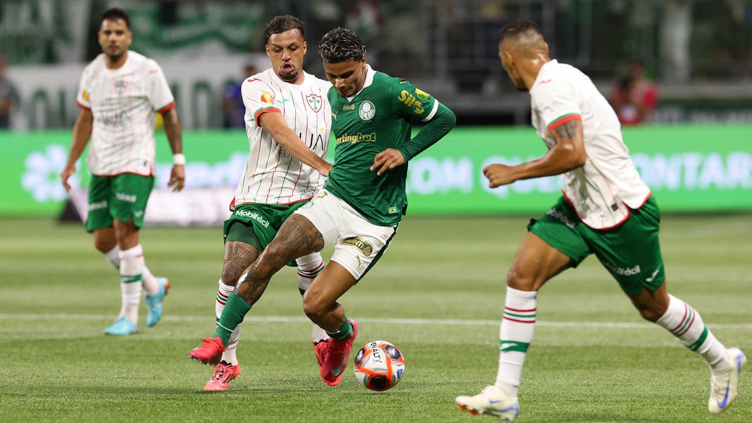 Noroeste x Palmeiras: como assistir, escalações e horário