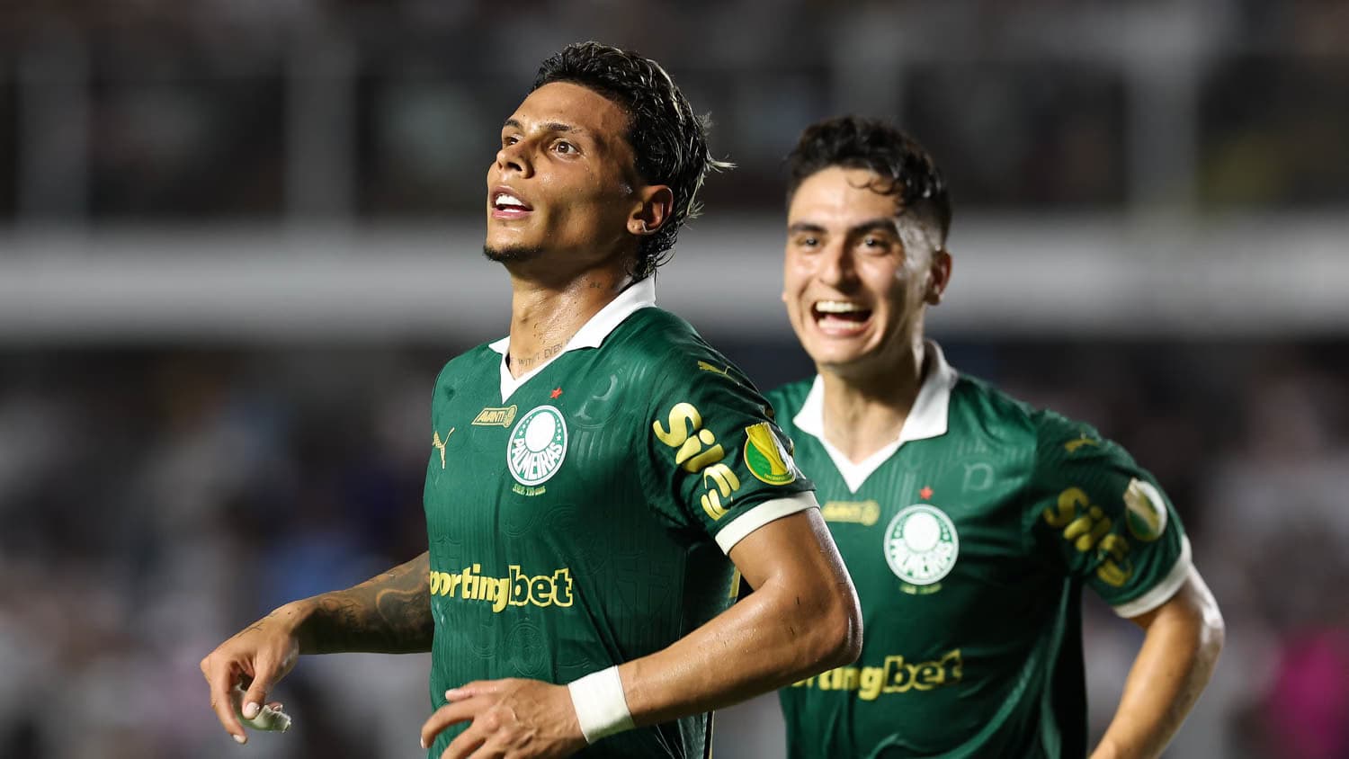 Palmeiras x Novorizontino: saiba como assistir ao vivo na TV