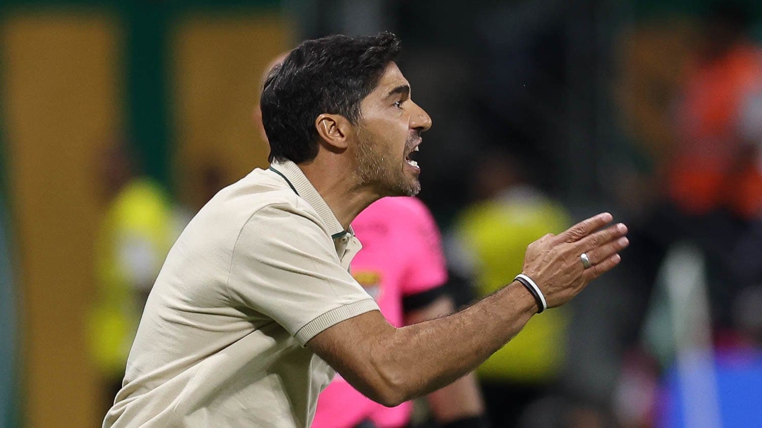 Palmeiras está escalado com mudanças para encarar o Sport