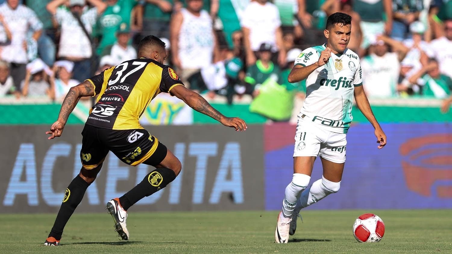Palmeiras já sabe quando poderá contar com Bruno Rodrigues