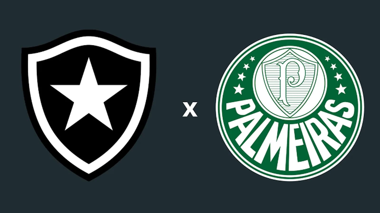 Botafogo x Palmeiras: onde assistir ao jogo pelo Brasileirão