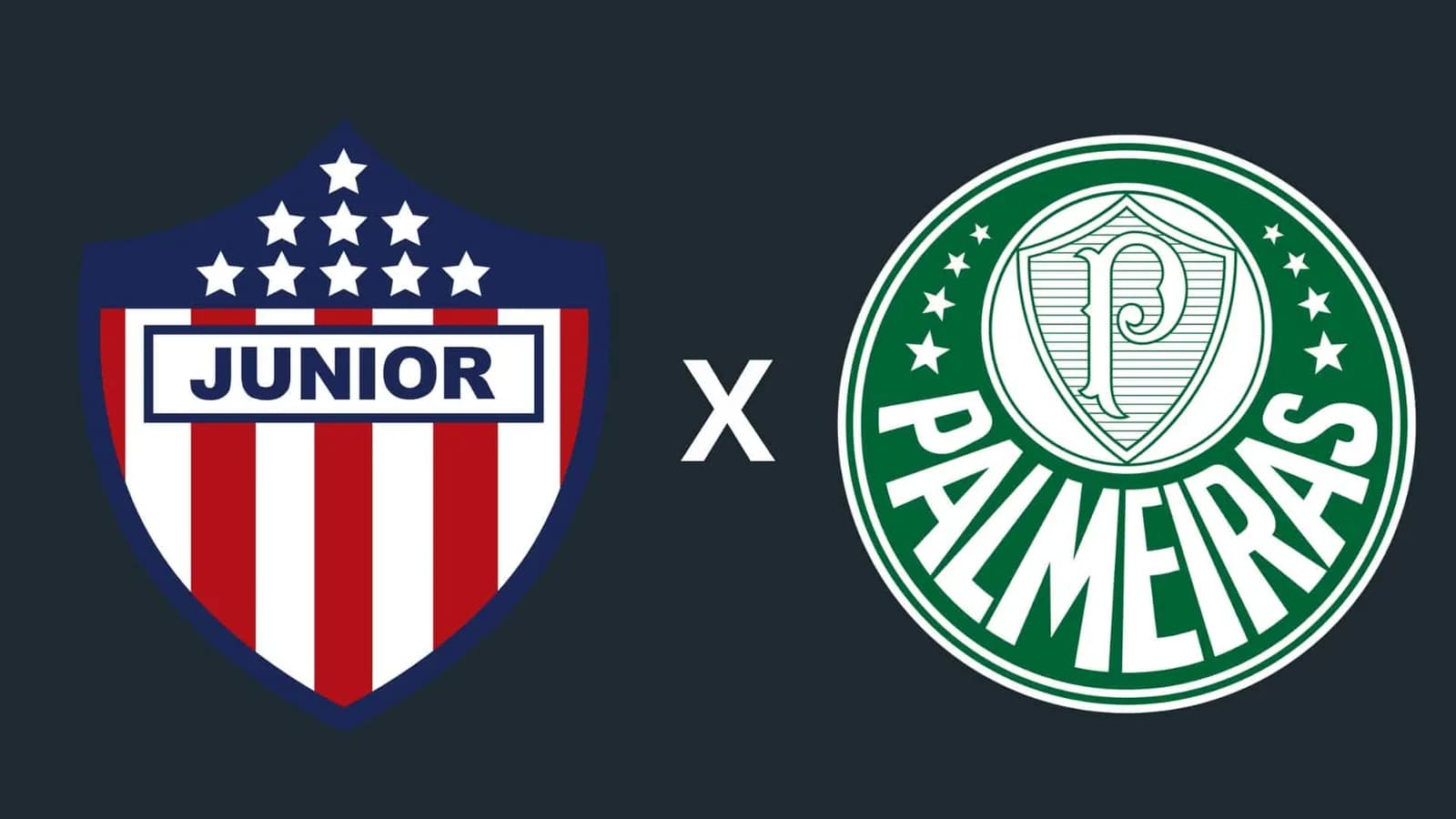Palmeiras x Junior Barranquilla: veja onde assistir e quem narra o jogo