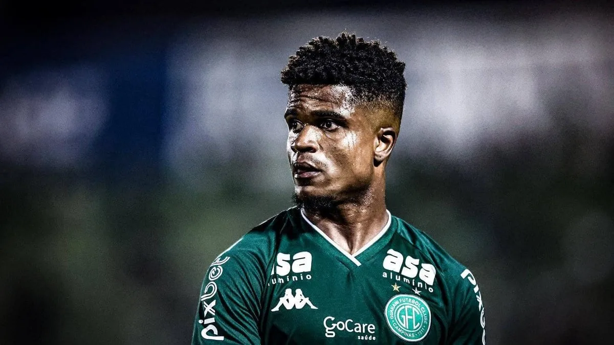 palmeiras
