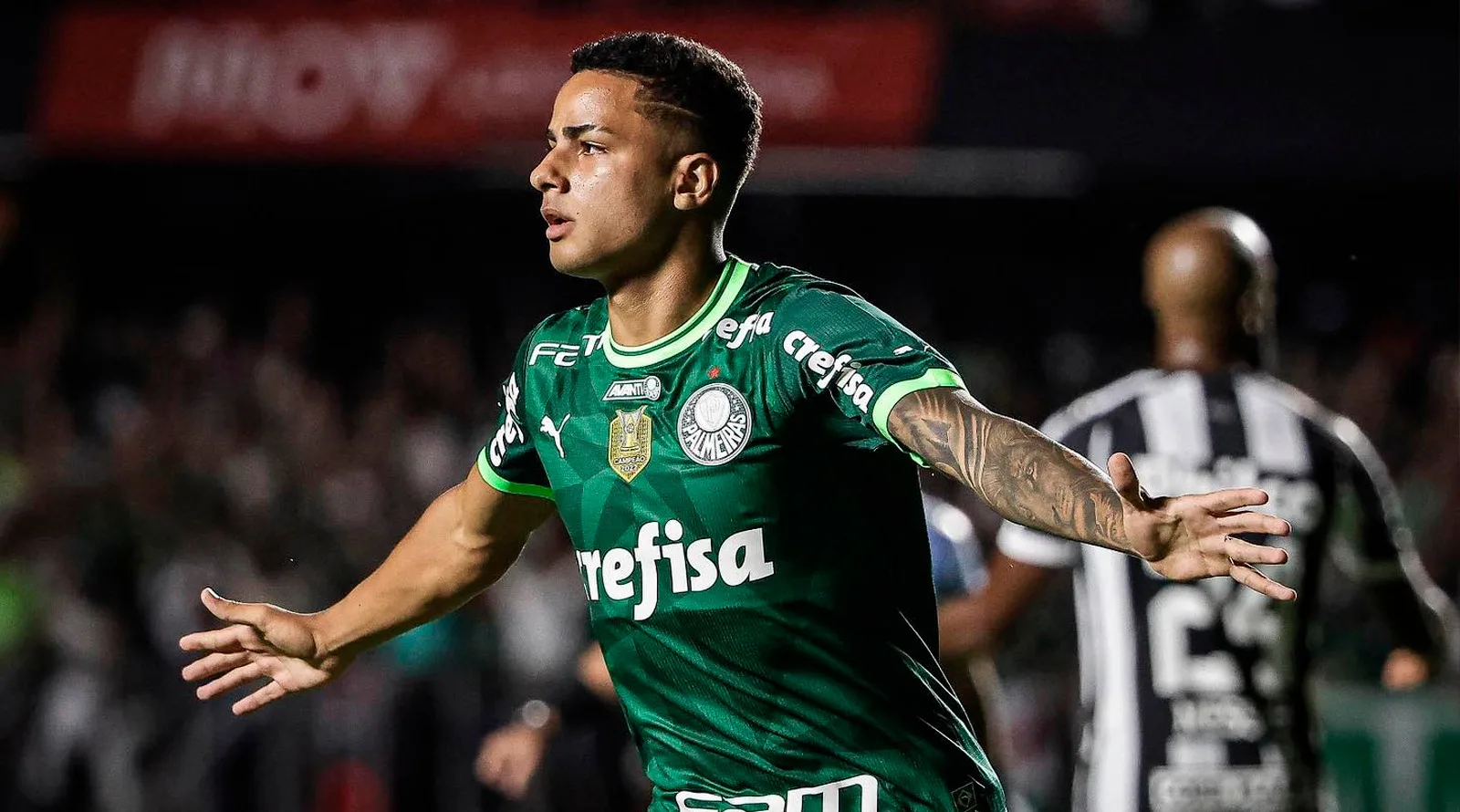 palmeiras