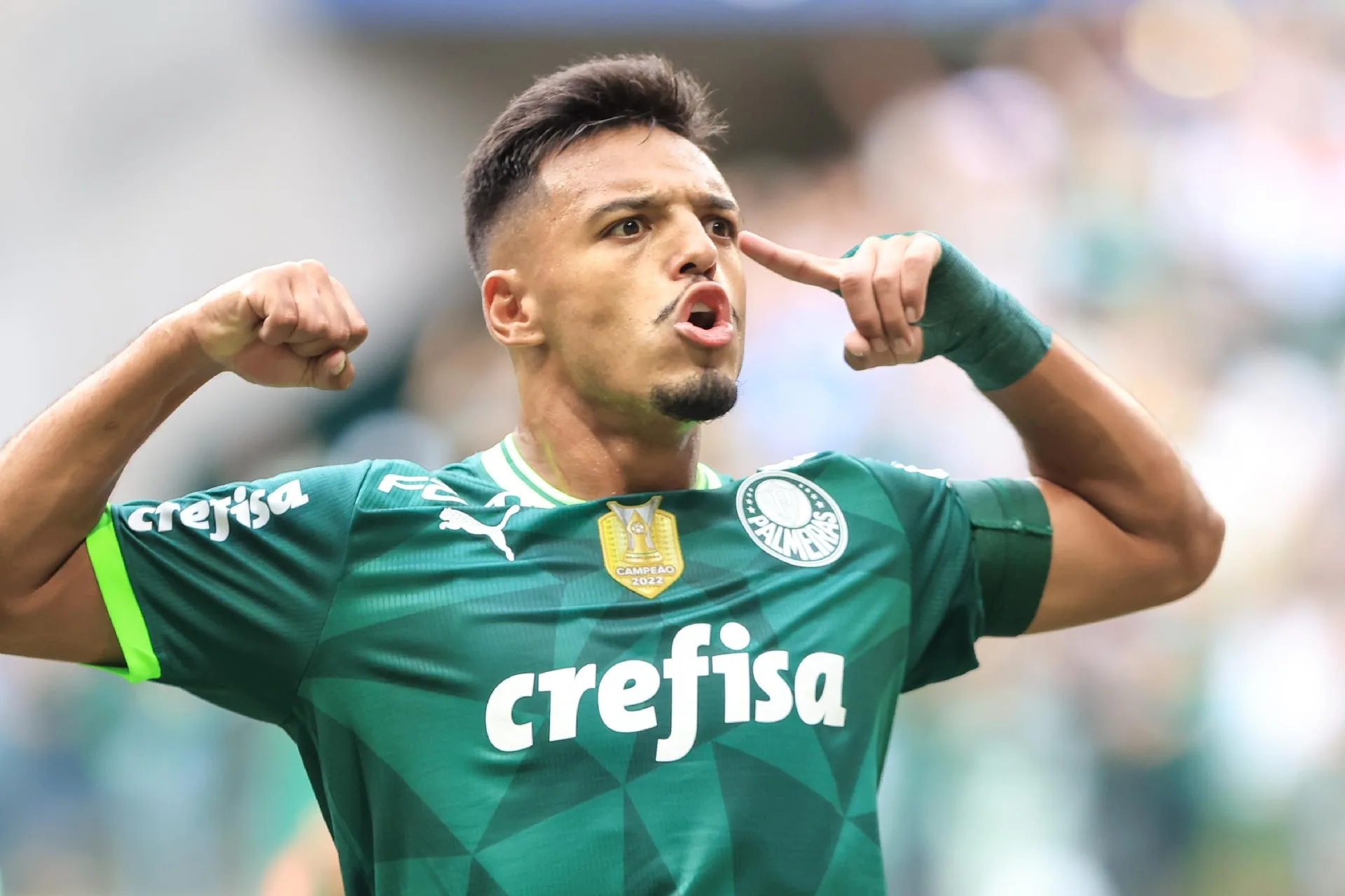 Palmeiras
