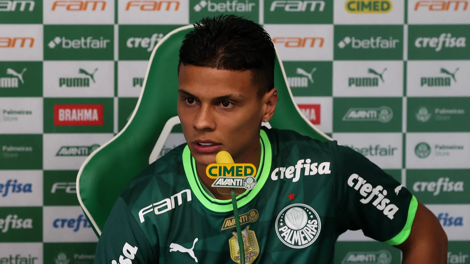 palmeiras