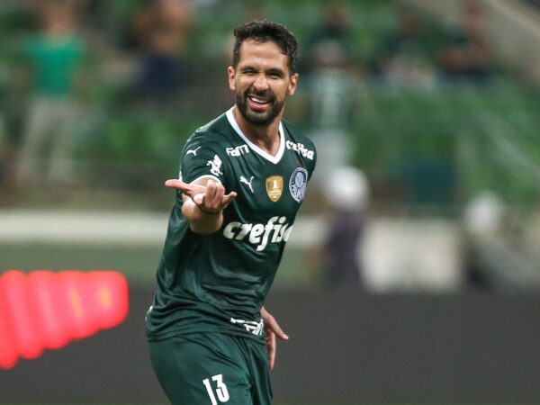 palmeiras