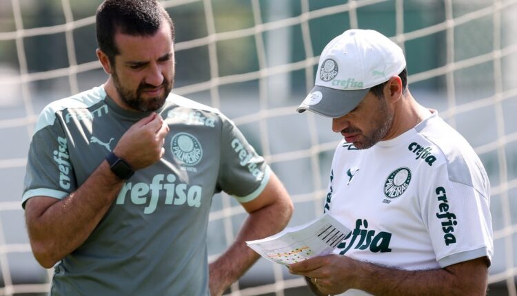 palmeiras