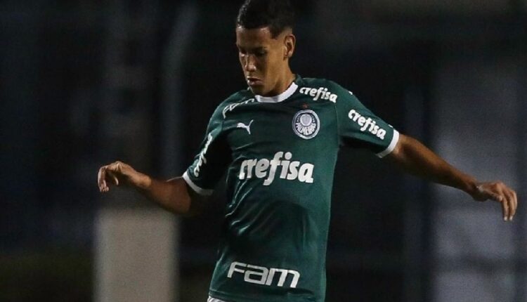 palmeiras