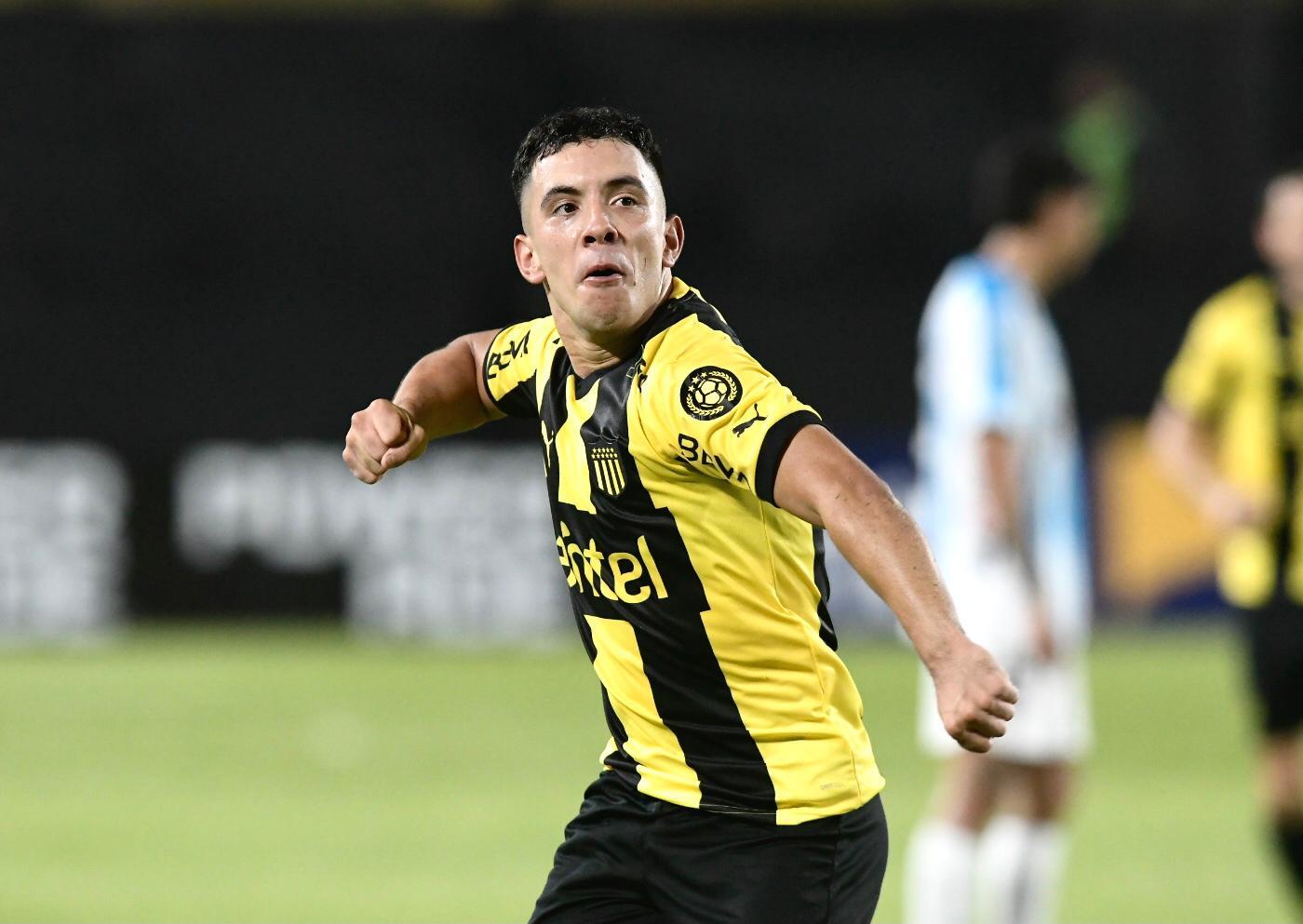 Reforço na área! Palmeiras e a chegada de Léo Fernandez: veja bastidores palmeiras