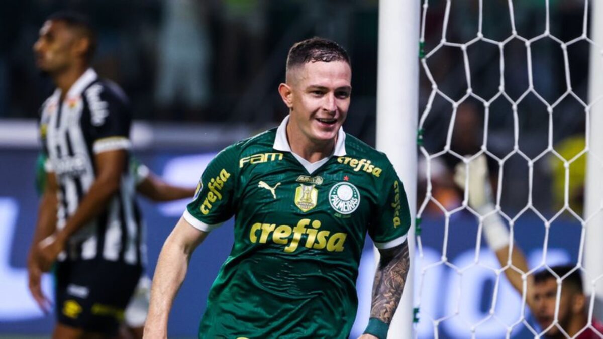 palmeiras