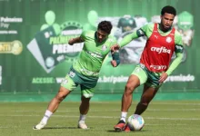 Palmeiras