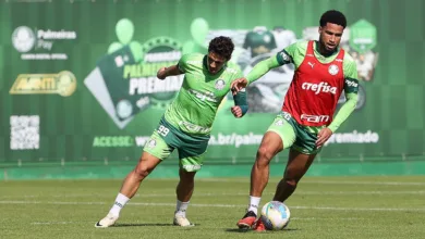 Palmeiras
