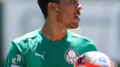 Palmeiras