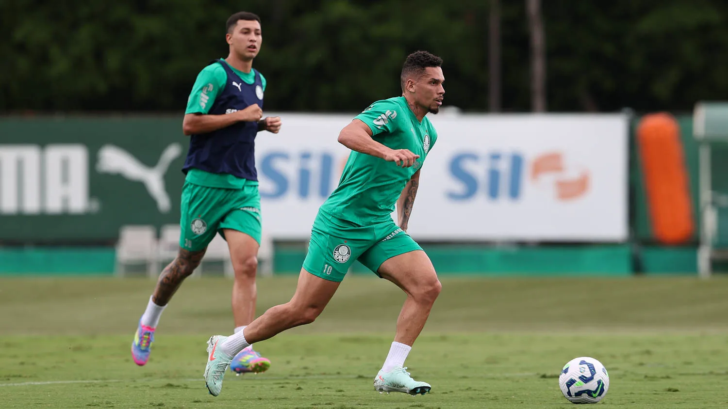 Palmeiras