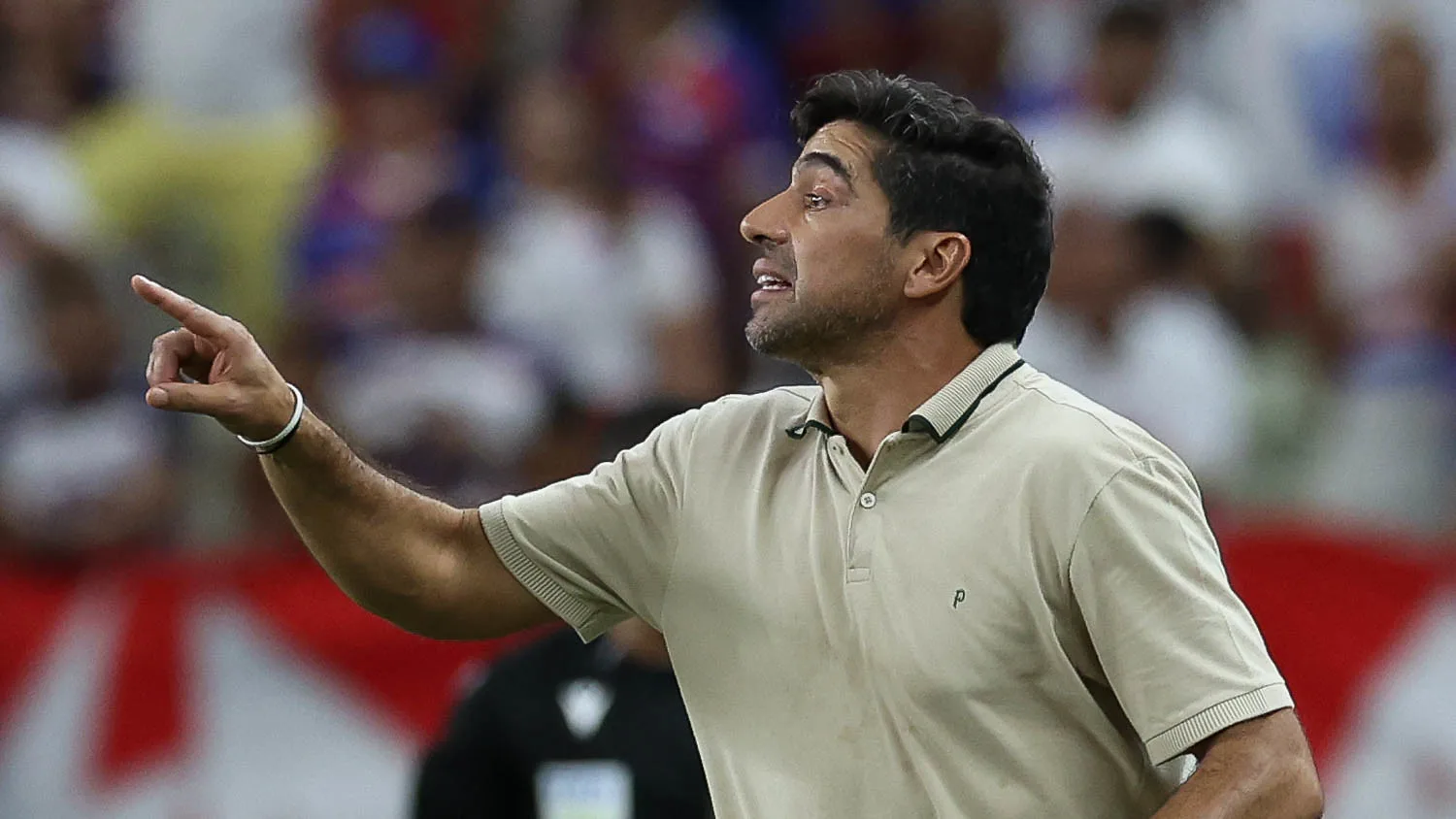 Palmeiras terá baixas e reforços para o jogo contra o Bolívar Palmeiras