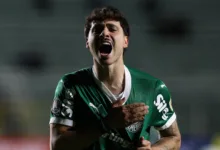 Palmeiras
