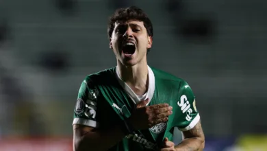 Palmeiras