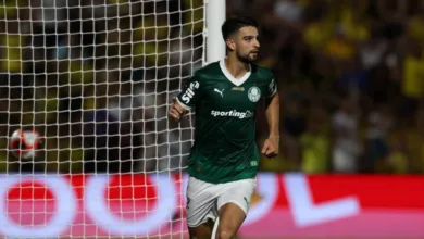 Palmeiras