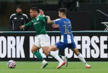 Palmeiras
