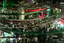 Palmeiras