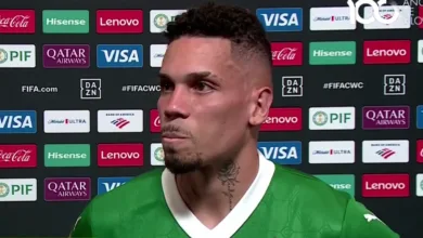 Palmeiras
