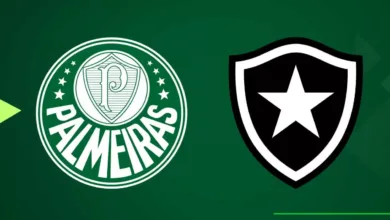 Palmeiras x Botafogo: veja onde assistir o jogo AO VIVO na TV
