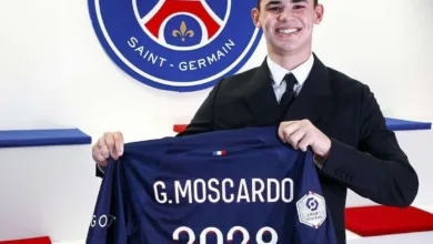 André, Gerson e Gabriel Moscardo: veja as últimas do mercado do Palmeiras